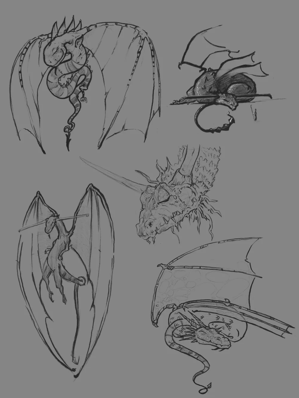 Sketches, Line