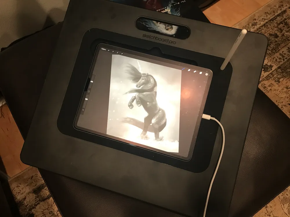 Sketchboard Pro with iPad Pro 12” and Apple Pencil. There is a nice tray to lay the pencil along the iPad for charging, and even a hole where the camera is in case you still want to use it to take snaps.