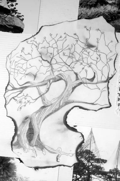 Tree of Kenrokuen (c. 1993, pencil)