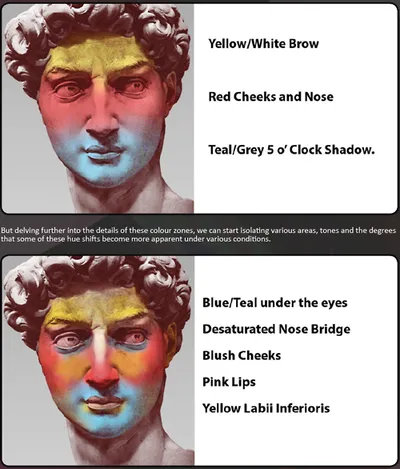 Googling “colors of the face” will yield a slew of images that help you better understand the movement of hue when rendering faces. While a face may have a dominant color such as say “pink”, you look more closely you will notice that our faces are a patchwork of yellows, blues, and reds.